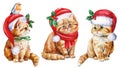 Set of cat. Cute kitten in red Santa hat on isolated white background, Christmas or new year holiday, watercolor