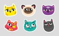 Set of cat emoji Dotted lines on gray background Colorful set of kittys emotions Hand draw type cats for emblem button