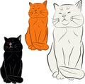 Set of cat illustrations Royalty Free Stock Photo