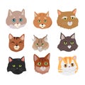 Set of Cat s Faces Vector Flat Design Illustration