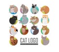 Set of Cat s Faces Vector Flat Design Illustration