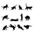 Set cat shiluette illustration vector Royalty Free Stock Photo