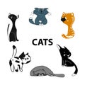 a set of cats of different breeds and colors. Oriental cat, Burmese, Siberian breed, Abyssinian. Vector illustration