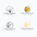 Set of cattails logo vector illustration design