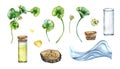 Set of centella asiatica, glass bottle, oil drop watercolor illustration isolated on white. Pennywort, gotu kola, water