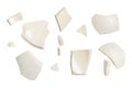 Set of ceramic fragments of broken vase isolated Royalty Free Stock Photo