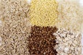 Set of cereals: rice, millet, buckwheat, oatmeal Royalty Free Stock Photo