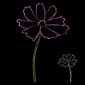 Set of chalk style cosmos flower branch vector simple illustration isolated on black background. Outline hand drawn colored Royalty Free Stock Photo