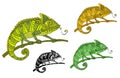 Set of chameleons, colored, black and white. Vector illustration, hand drawn