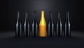 set of champagne bottles isolated on a black background