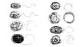 Set of chaotically tangled line and untied knot in the shape of circle, chaos and mess line circle