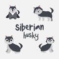 Set Character Animal In Various Poses Of Cute Siberian Husky Dog Is Sitting, Sleep, and Jumping. Illustration Royalty Free Stock Photo