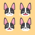 Set of character boston terrier dog faces showing different emotions