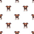 Set of character boxer dog faces showing different emotions