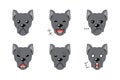 Set of character cane corso dog faces showing different emotions Royalty Free Stock Photo