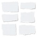 Set of checkered paper different shapes tears isolated on white background. Vector paper template Royalty Free Stock Photo