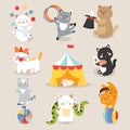 Set of cheerful circus playing cats vector illustration.