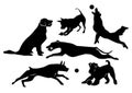 Set of cheerful dogs. Black isolated silhouettes on white background Royalty Free Stock Photo