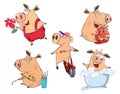 Set of cheerful pigs Cartoon