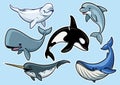 Set of cheerful various of whales Royalty Free Stock Photo