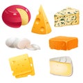 Set of cheese types roquefort, brie and maasdam