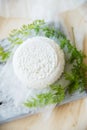 Set of cheese on wooden background