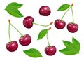 Set of Cherries with green leaf. Fresh, juicy, ripe fruit.