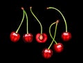 Set of cherries isolated on black background. Watercolor illustration.