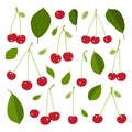 Set of cherries and leaves on white background. Vector illustration.