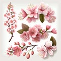 Set of cherry blossom branches with pink flowers. Vector illustration. Royalty Free Stock Photo