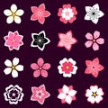 Set of cherry blossom, flowers icons Royalty Free Stock Photo