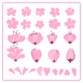 Set of cherry blossom japanese sakura, spring floral icons. Vector illustration Royalty Free Stock Photo