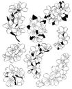 Set of cherry blossoms. Collection of flowers of sakura. Black and white drawing of spring flowers. Linear Art. Tattoo. Royalty Free Stock Photo