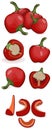 Set of Cherry Pepper. Cartoon style. Vector.