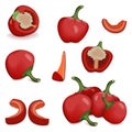 Set of Cherry Pepper. Vector illustration.