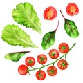 Set cherry tomatoes and fresh lettuce leaves Royalty Free Stock Photo