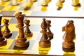 Set of chess figures Royalty Free Stock Photo
