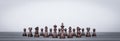 Set of chess figures board game isolated on the white background