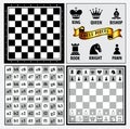 Set of chess piece element, winner and looser concept, in a fair game.