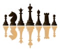 Set of chess pieces black and white