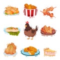 Set of chicken dishes. Vector illustration on a white background.
