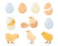 Set of chicken eggs and chicks. Chickens farm elements Royalty Free Stock Photo