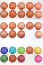 Set of chicken eggs in holders Royalty Free Stock Photo
