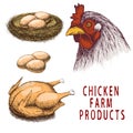 Set of chicken farm products