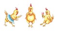 Set of chickens drawn with colored pencils Royalty Free Stock Photo