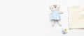 Set of children`s accessories. A cute toy with baby things. Baby shower concept. Banner. copy space Royalty Free Stock Photo