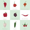 set of chili icons. Vector illustration decorative design