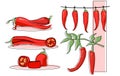 Set of chili pepper hanging and cut as a food ingredient on white background