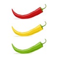 Set of chilli pepper - red  yellow  green. Mexican jalapeno hot spicy peppers. Spice ingredient of food. Royalty Free Stock Photo