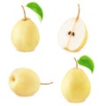 Set of chinese pear fruits Royalty Free Stock Photo